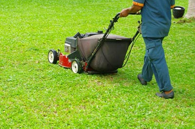 lawnmowing image